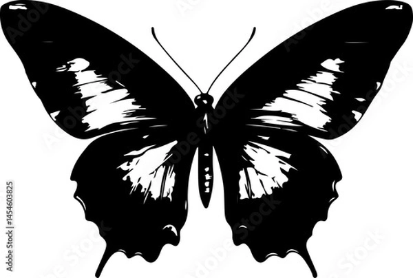 Obraz Black and White Illustration of a Butterfly with Detailed and Symmetrical Wing Patterns

