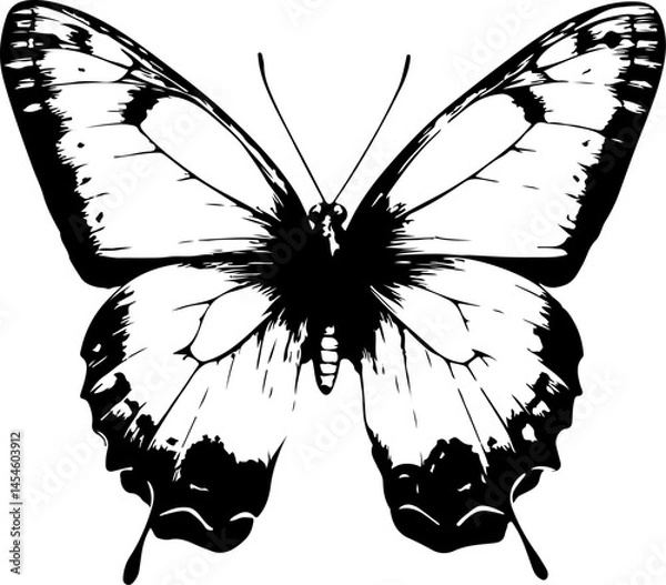 Obraz Black and White Illustration of a Butterfly with Detailed and Symmetrical Wing Patterns
