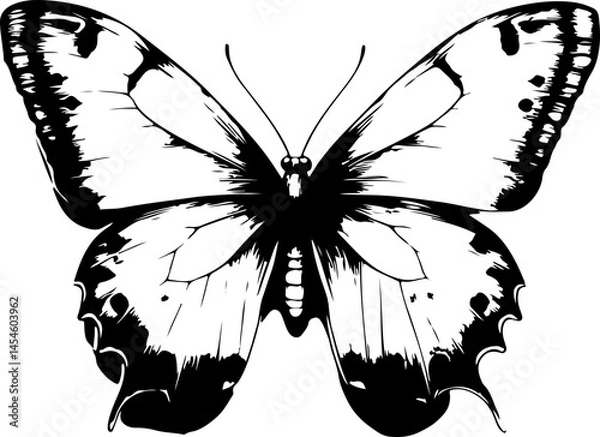 Obraz Black and White Illustration of a Butterfly with Detailed and Symmetrical Wing Patterns
