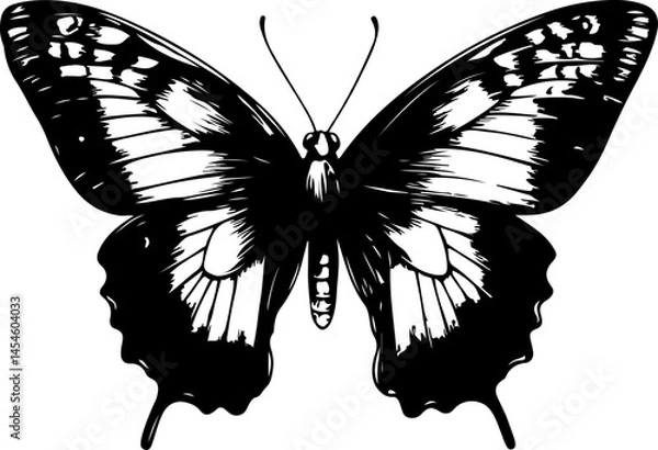 Obraz Black and White Illustration of a Butterfly with Detailed and Symmetrical Wing Patterns
