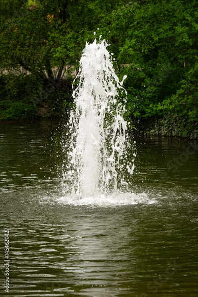 Fototapeta Fountain in a pond, bushes in the background.