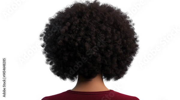Obraz Woman with curly afro hairstyle, from behind, detailed texture, PNG on white