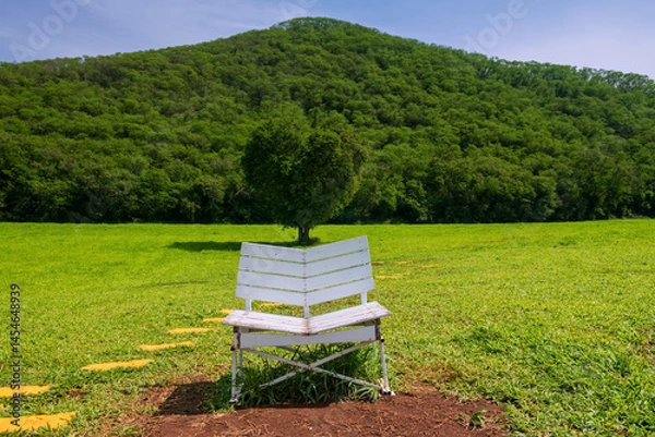 Fototapeta White wooden couple chair in front of beautiful heart shape tree
