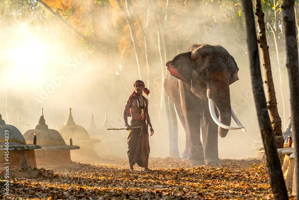 Fototapeta Traditional Asian Mahout Standing Beside Elephant in Forest. Portrait of an Asian Mahout Beside Elephant.