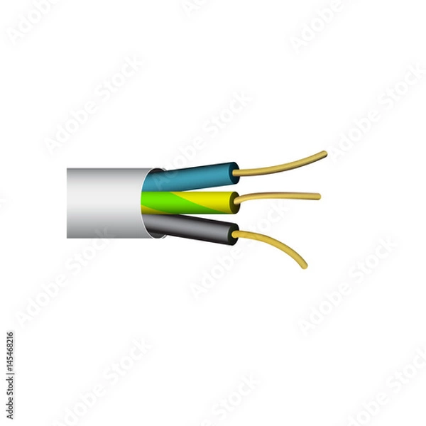 Obraz Electric wire phase-earth realistic vector isolated illustration