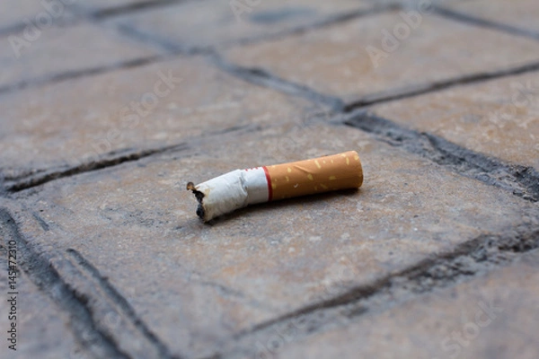 Obraz Cigarette butt on the floor