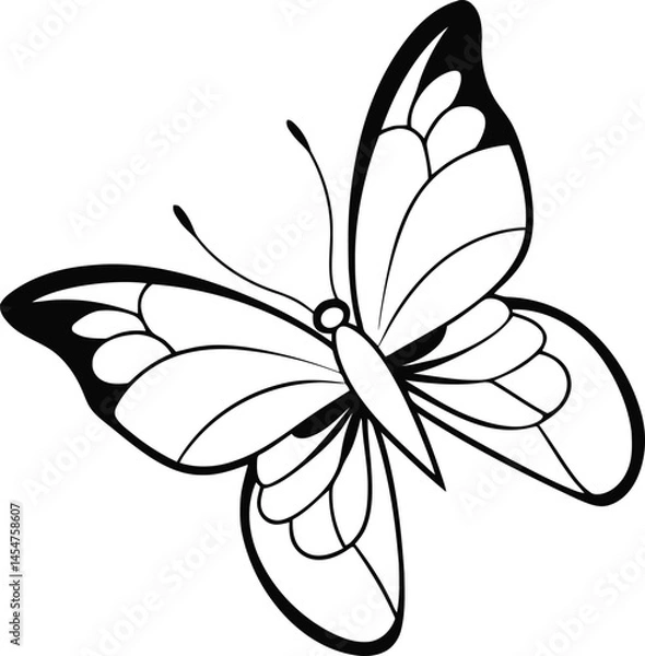 Fototapeta Elegant Butterfly Vector Design for Artistic and Commercial Use

