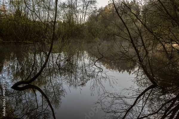 Obraz morgenstimmung am teich im frühling