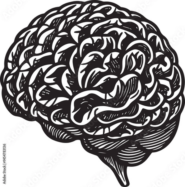Obraz Brain And Neuron Drawings Pro Vector and Pro SVG