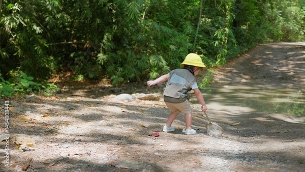 Obraz A cheerful Asian child girl with a butterfly net enjoys a sunny day in the forest, ready for an adventure Exploring in nature.