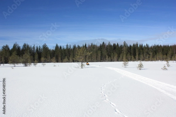 Obraz Снегоход, едущий по зимней равнине.