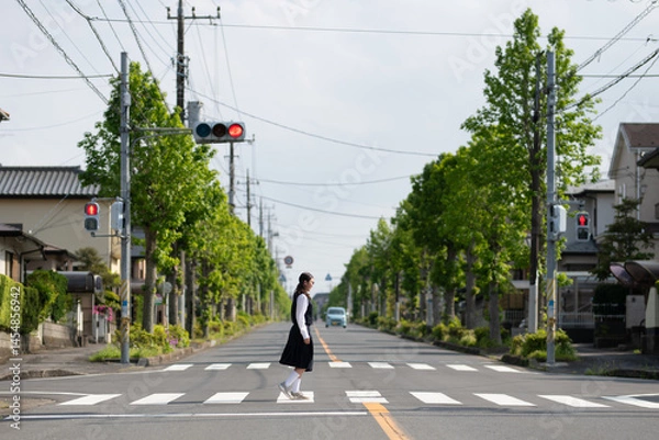 Fototapeta 横断歩道を歩く女子中学生