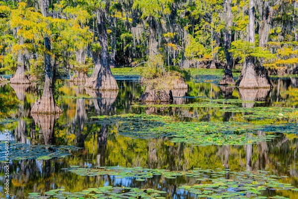 Obraz Caddo Lake