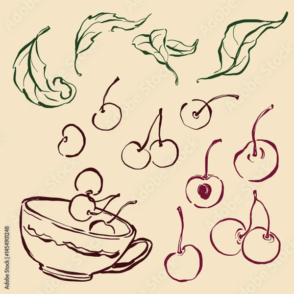 Fototapeta Vector fruit doodle illustration of cherry. Hand-drawn garden harvest sketch. Organic farm graphics. Tasty food for design, veggie market drawing print, fabric or background.