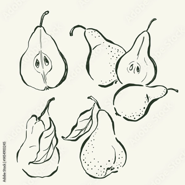 Fototapeta Vector fruit doodle illustration of pears. Hand-drawn garden harvest sketch. Organic farm graphics. Tasty food for design, veggie market drawing print, fabric or background.