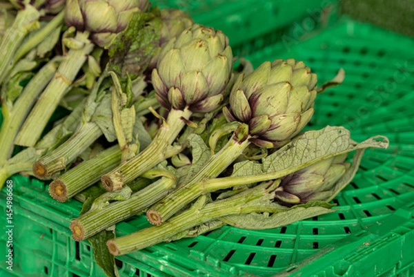 Fototapeta Fresh green artichokes with green leaves displayed on a counter in a street food market, close up