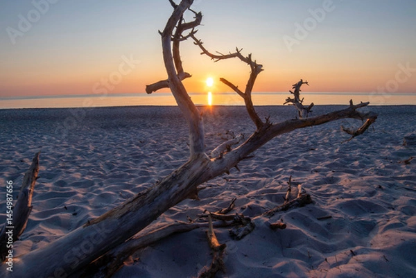 Obraz Stunning sunset over the Baltic Sea on Darß Peninsula in Germany with driftwood framing the view