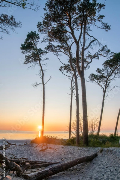Obraz Vibrant sunset over the Baltic Sea at Darß Peninsula in Germany with silhouetted trees