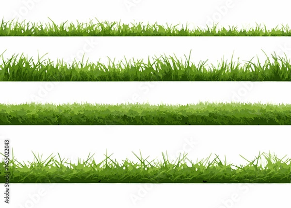 Fototapeta green grass background