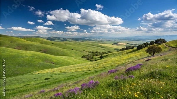 Fototapeta peaceful green field with cloudy sky and natural scenery