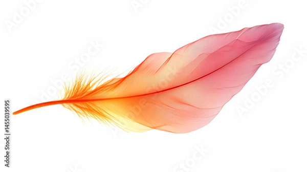 Fototapeta Delicate Feather With Vibrant Colors On Black Background, cut out transparent