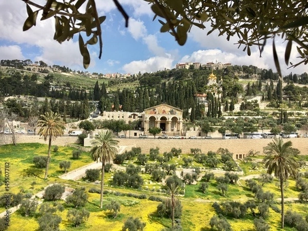 Fototapeta Ölberg Jerusalem