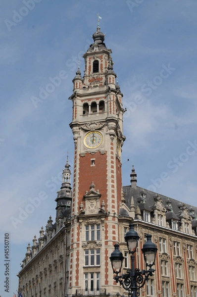 Fototapeta lille centre