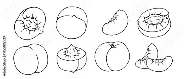 Fototapeta Set of linear sketches, contours of peach and pieces of summer fruit. Vector graphics.