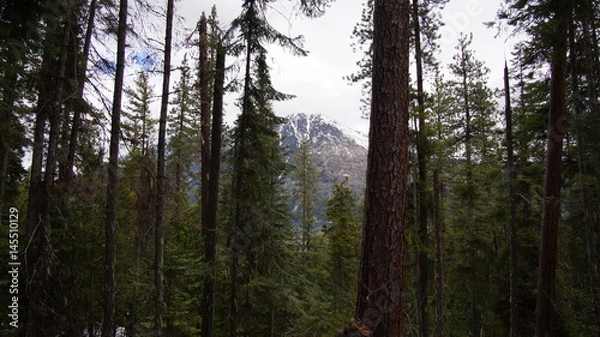 Obraz Exploring Washington State