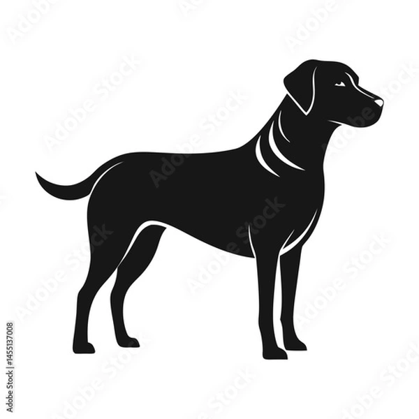Obraz Bold Labrador retriever silhouette design for dog day vector illustration