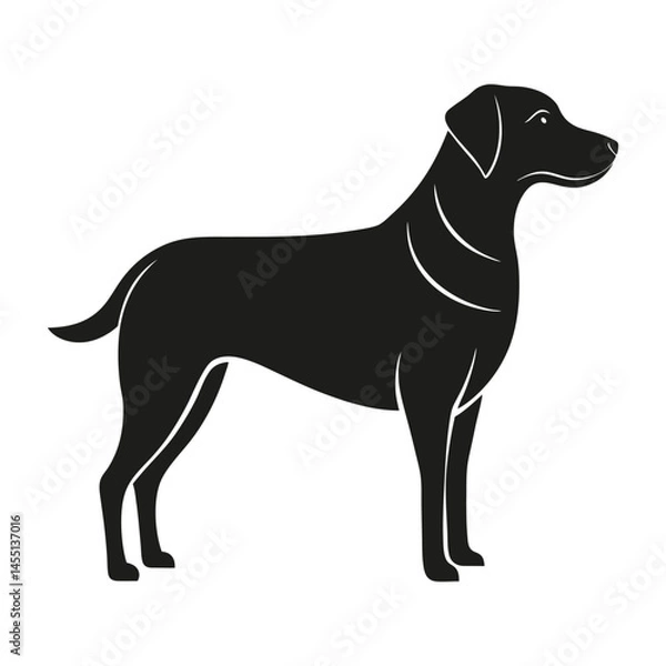 Obraz Side profile Labrador retriever dog silhouette for t-shirt vector illustration