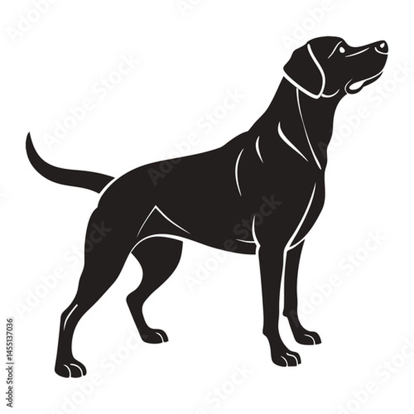 Obraz Large Labrador side view silhouette celebrating dog day vector illustration