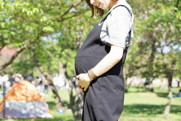 Obraz 妊婦　妊娠　マタニティ