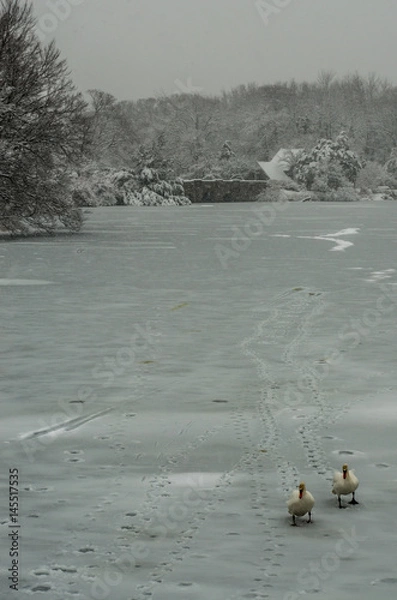 Obraz Winter on Old Mill Pond