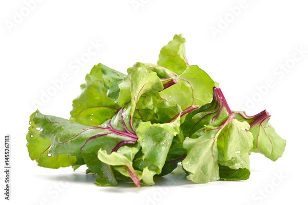 Fototapeta Beet root leaves isolated on white background.