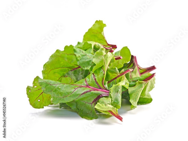 Fototapeta Beet root leaves isolated on white background.