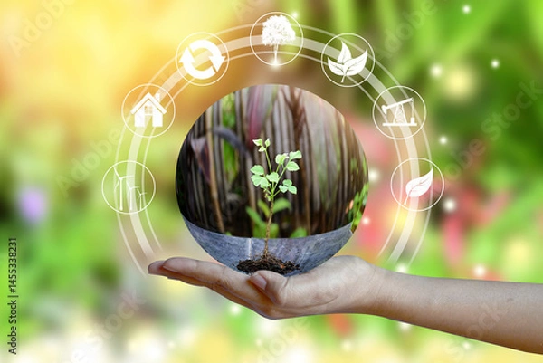 Fototapeta Human Hand holding Tree on green bokeh background. Concept of World Environment Day, eco earth day, Preserve Nature, energy in nature. 