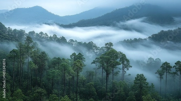 Obraz Generative AI Image of Hill Mountain Landscape with Trees in Foggy Forest