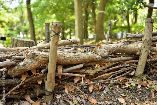 Obraz カントリーヘッジ（正面から）