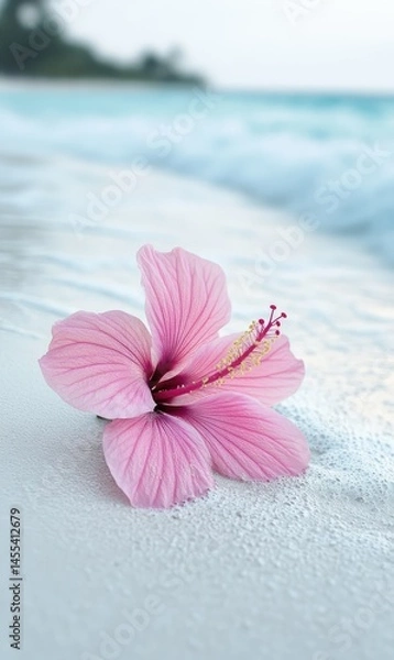 Obraz Delicate pink hibiscus on a beach (1)