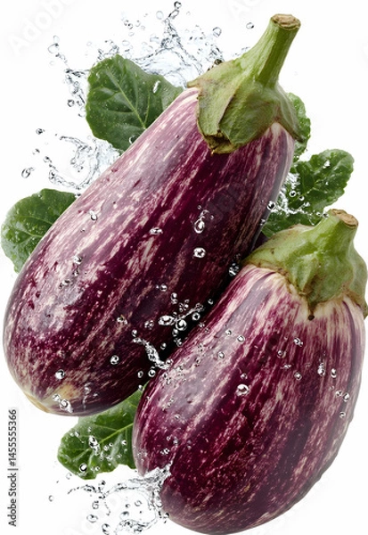 Obraz Eggplant in Isolated White