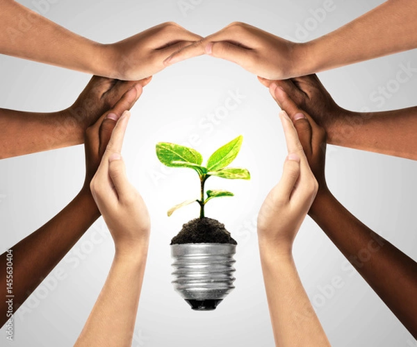 Fototapeta Bulbs with seedling on soil. Earth day and earth day as group of diverse people joining to form hands connected together protecting the environment and promoting conservation and climate change issues
