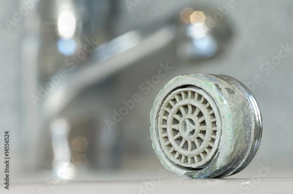 Fototapeta Calcified Perlator