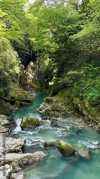 Fototapeta A serene landscape features a clear blue stream winding through lush greenery and rocky slopes. The vibrant foliage creates a peaceful atmosphere in a natural setting during midday