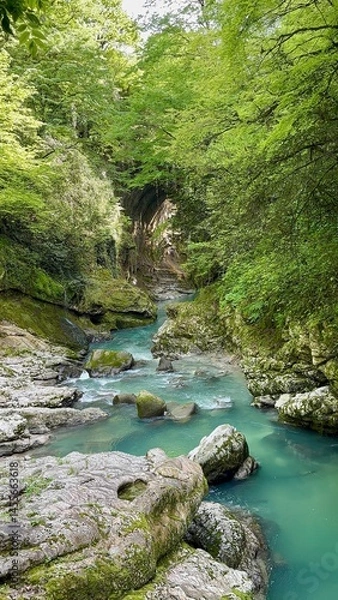 Fototapeta A peaceful river flows through a vibrant forest, surrounded by tall trees and rocky formations. Sunlight filters through the leaves, creating a serene atmosphere that invites exploration