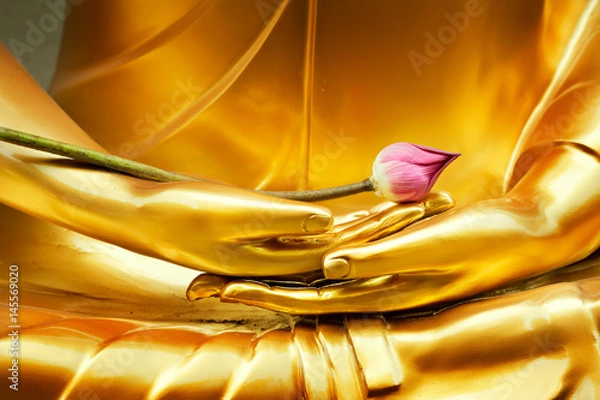 Fototapeta Lotus in hand image of buddha