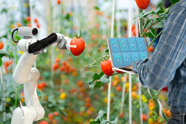 Fototapeta Agricultural industry with artificial intelligence robots concept