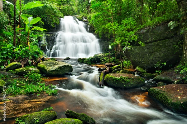 Fototapeta Waterfall in deep forest