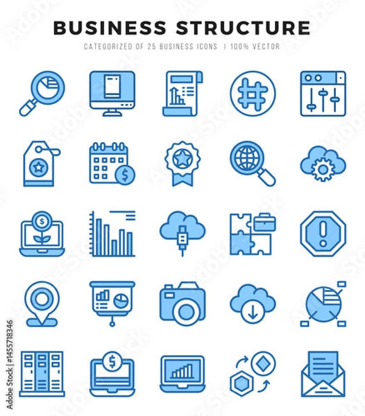 Fototapeta Set of Business Structure icons. Vector Illustration.