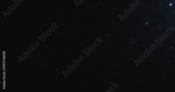Obraz natural dust particles flow in air on black background
